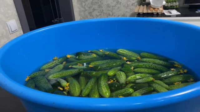 906❤️Юг. Часть 2. Пробуем огурцы по фински( рецепт в описании) смотреть онлайн