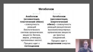 Обмен веществ (метаболизм). Энергетический и пластический обмен.