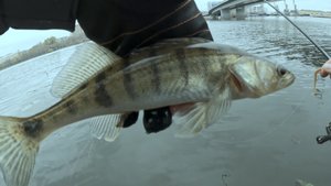 Ультралайт на Москва реке ! ВСЕХ С ПРАЗДНИКОМ ! Рыбалка Осенью !