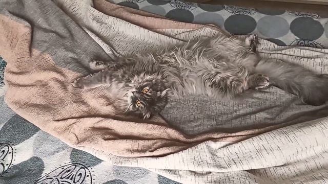 Эрик и Ватсон. Сон час в детском саду. смотреть онлайн