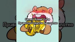Слив Вип группы Сытый Хомяк OKX - Скам 9 августа