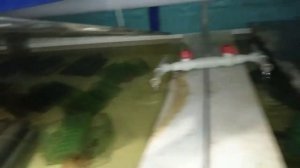 УЗВ для АККР, третий год.mp4