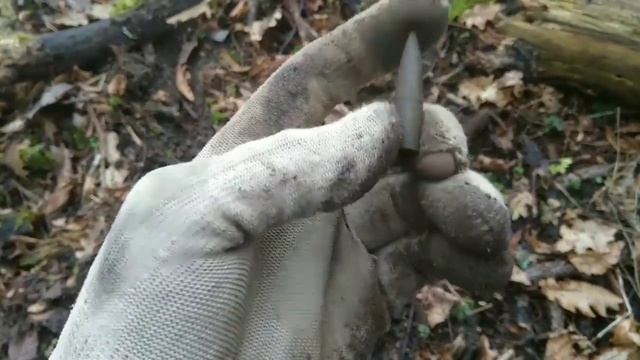 Коп в Калининградской области!