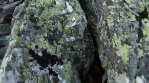 Хребет Нургуш / гора Большой Нургуш / 2х дневный поход