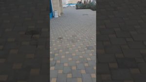 Мореми Сукко 09.09.22 г.