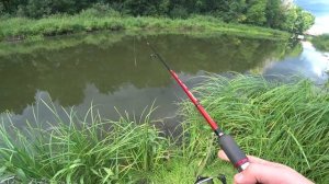 Рыбалка на спиннинг с берега! Ловля щуки окуня на малой реке в Татарстане!