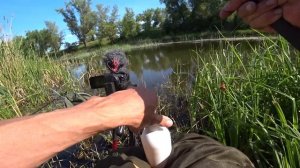 КРУПНЫЙ КАРАСЬ НА ПОПЛАВОК ?!! Рыбалка летом на реке