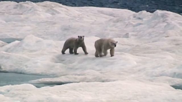 ИНТЕРЕСНЫЕ ФАКТЫ СЕВЕРНОЙ АМЕРИКИ (ЧАСТЬ II) смотреть онлайн