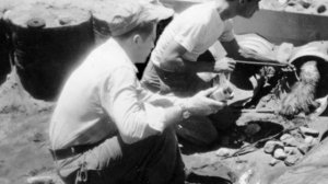 ЙОРКШИРСКИЙ ТЕРЬЕР - ИНТЕРЕСНЫЕ ФАКТЫ