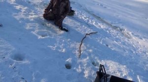 Зимняя рыбалка на Ельца