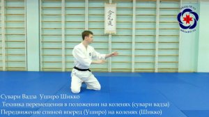 Уширо Шикко / Передвижения айкидо