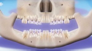 Процесс смены зубов у детей