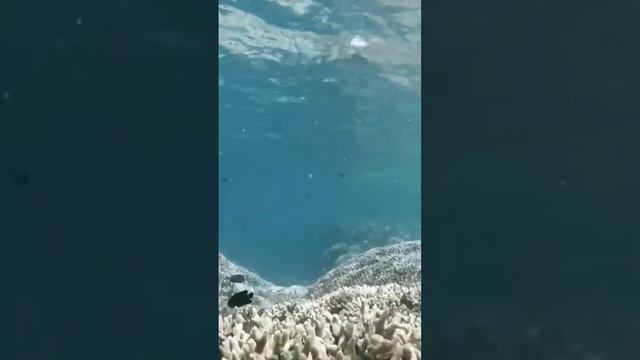 Глубокое погружение в сон?Медитация для сна music#music #relaxation #meditation смотреть онлайн