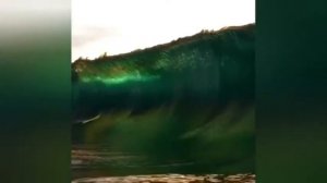 Гумилев - стихотворение жираф