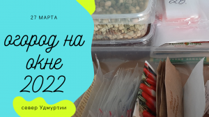 С рассадой одни проблемы на южном окне. Семена. Огород на окне. часть 6.