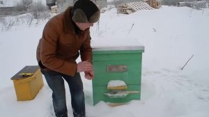 Канди для пчел. Приготовление канди. Подкормка пчел