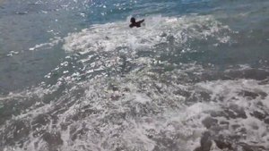 Бурят в Сочи Геленджик Чёрное море