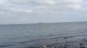ЛУЧШАЯ Набережная Крыма??? Феодосия с другой стороны. Прогулка по набережной. Цены на жилье и еду ?