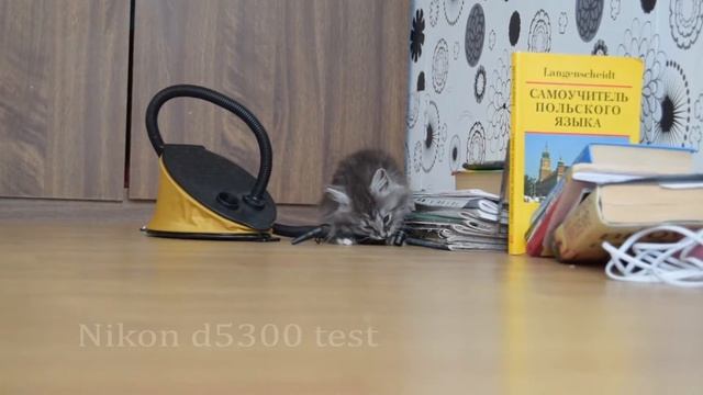 Nikon D5300 video test смотреть онлайн