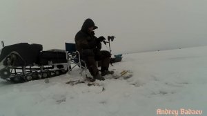 Рыбалка на Ладоге Ловим окуня со льда