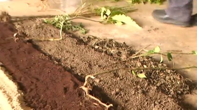 Primer Día 03 ABC de la Agricultura Orgánica Part 2 смотреть онлайн