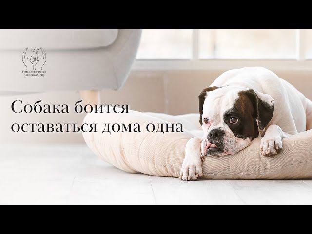 Тревога одиночества смотреть онлайн