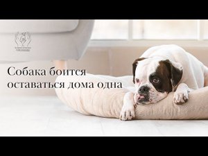 Тревога одиночества