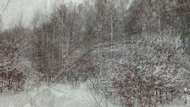 Слайд шоу ! Зимняя сказка ! смотреть онлайн