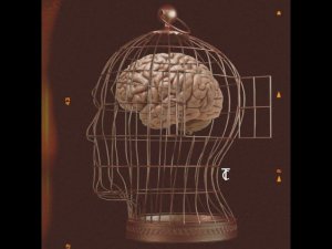 Закон критического мышления №1