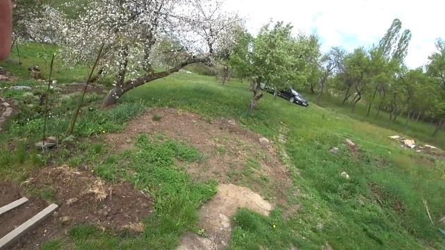 КУПИЛИ РАСТЕНИЯ. Облагораживаем склон.  Подготовка к посадке.