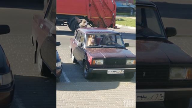 Третий лишний ???