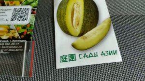 Успейте купить редкие сорта дынь / Дыня Хоней, Пьел Де Сапо, Крисмас