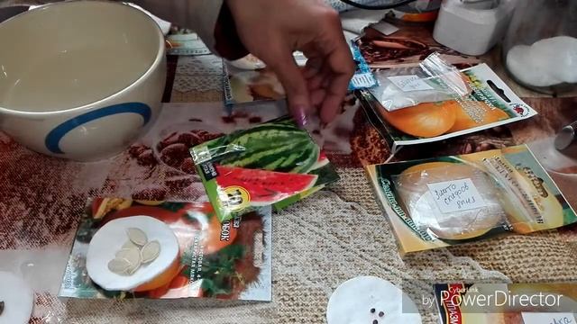 #СеменаНаРассаду #ЖизньВселе Замочила семена дыни, арбуза и тыквы.