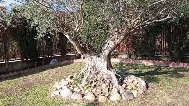 Влог Гора Виды красоты Лорет де мар Испания 2021 смотреть онлайн