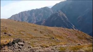 Горная охота на Козерога! Видео от подписчика. Охота на козерога с подхода!