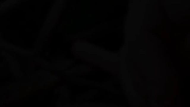 Eurydactylodes Agricolae / Gecko Caméléon смотреть онлайн