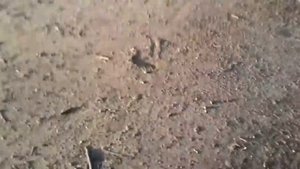Большая и маленькая шахта в Северо Задонске.
