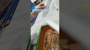 Лайфхак для кошачьего туалета