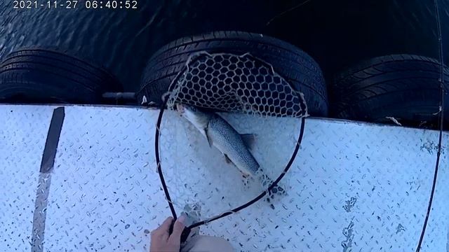 усачик смотреть онлайн