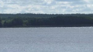 Озеро Свирь. Небольшой ПВД