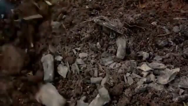 Древесная зола как удобрение. Заготовка древесной золы для удобрения. смотреть онлайн