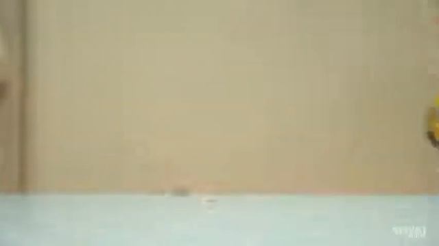 КАКОЙ ВЕС МОЖЕТ ПОДНЯТЬ МУХА смотреть на youtube 2018 смотреть онлайн