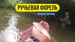 | Микро речка | В поисках ручьевой форели |