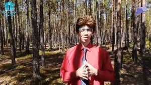 Господин БЖДшка | Правила поведения на летних каникулах