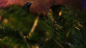 Признаки Скрытой Ведьмы.Болезнь Ведьмы.Как болеют?Почему? Чёрная Магия.Колдовство.Магический дар.