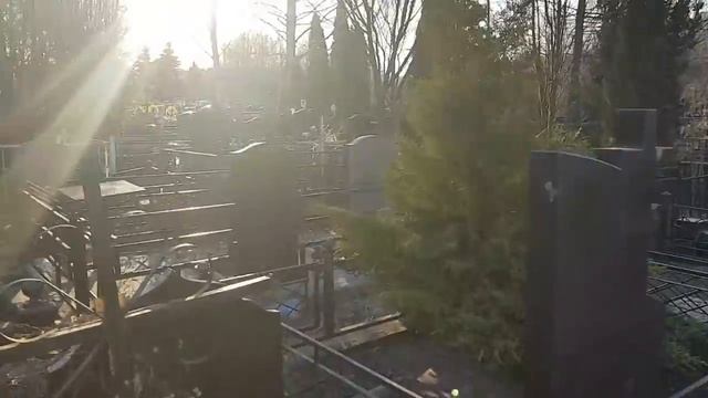 МОГИЛЫ ОТТАЯЛИ... смотреть онлайн