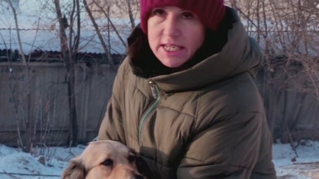 Приют для бездомных собак «Алькин дом» / Красноярск / Собаки / Щенки смотреть онлайн