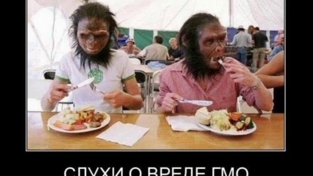 Квадратные яйца смотреть онлайн