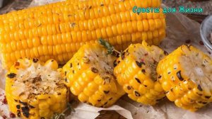 ЗАЧЕМ НАДО ЕСТЬ КУКУРУЗУ ? Полезные свойства кукурузы