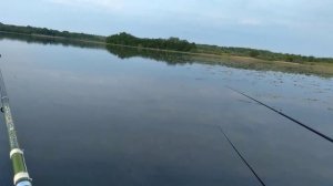 На рыбалке. Озеро Удрай Псковской области.